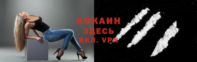мяу мяу мука Алексин