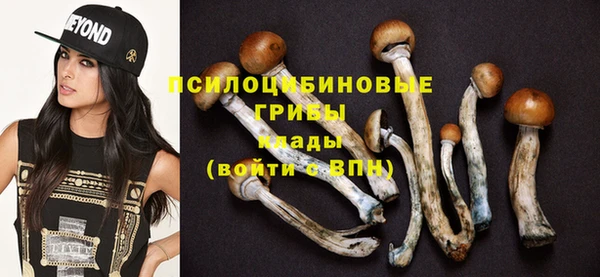 твердый Алзамай